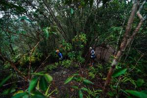 BIB: 
                            <button type="button" onclick="openModal(26196431)" class="btn btn-primary btn-sm float-right btn-popup" data-toggle="modal" data-target=".modal-high-quality">
                        <i class="fas fa-shopping-cart"></i> Add to Cart
                    </button>
                                            <button type="button" onclick="isThisMe(26196431, true)" class="btn btn-success btn-sm float-right btn-popup btn-isme hidden" data-toggle="tooltip" data-placement="bottom" title="นี่คือรูปของคุณใช่ไหม คลิกที่นี่เพื่อเอาเข้าอัลบั้ม">
                        <i class="fas fa-plus"></i> Add to album
                    </button>
                    <button type="button" onclick="isThisMe(26196431, false)" class="btn btn-warning btn-sm float-right btn-popup btn-isnotme hidden">
                        <i class="fas fa-ban"></i> Remove from album
                    </button>